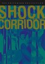 3-Shock Corridor