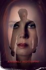 13-Nocturnal Animals