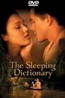 2-The Sleeping Dictionary