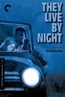 4-They Live by Night