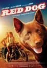 3-Red Dog