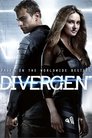 11-Divergent