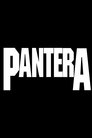 Pantera