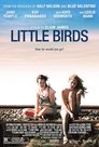 2-Little Birds