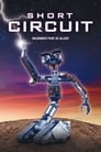 3-Short Circuit