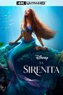 La sirenita
