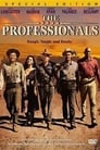 5-The Professionals