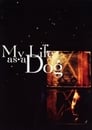 3-My Life as a Dog