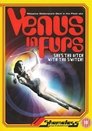 0-Venus in Furs