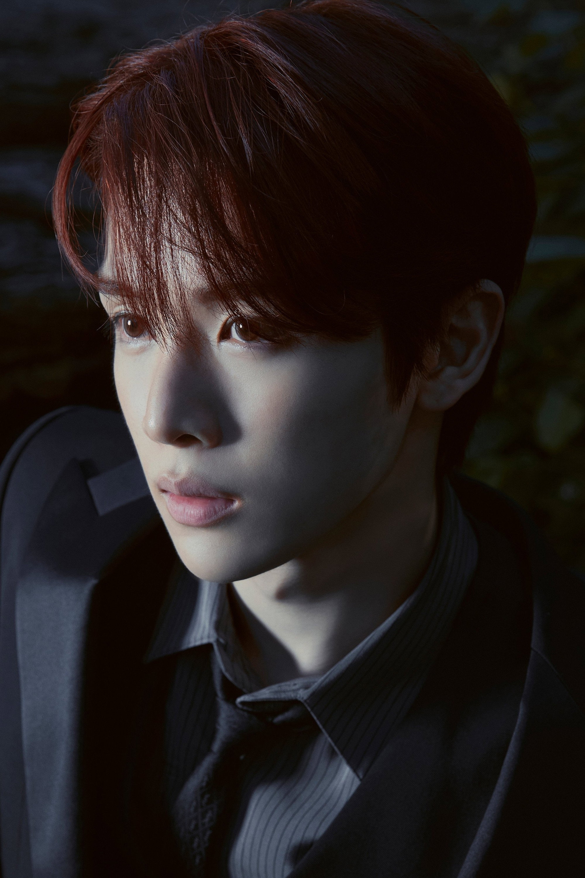 정성찬