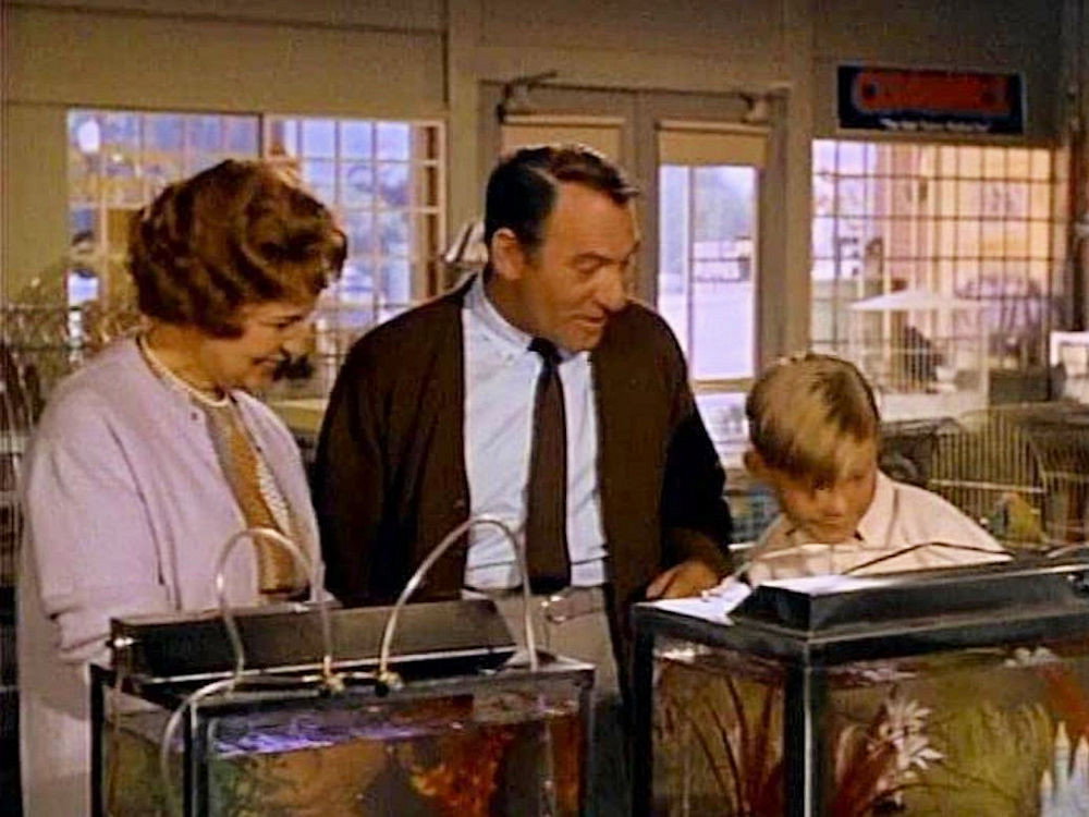 A still from Hazel Needs a Car