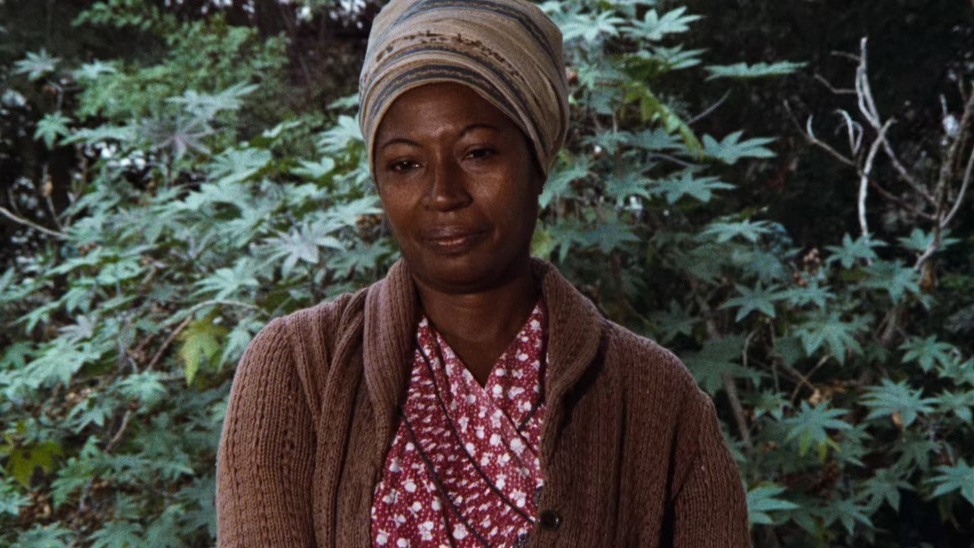 A still from The Roots