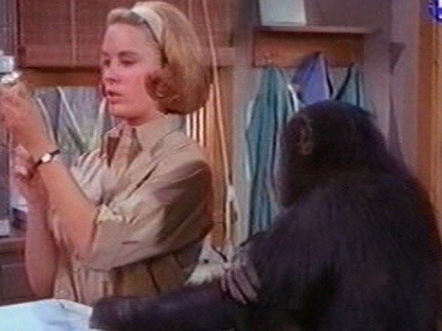 A still from Judy's Hour of Peril