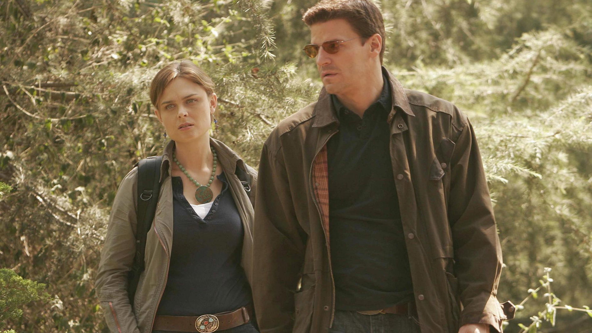 A still from The Man in the Bear