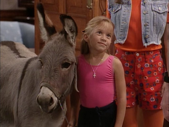 A still from You Pet It, You Bought It