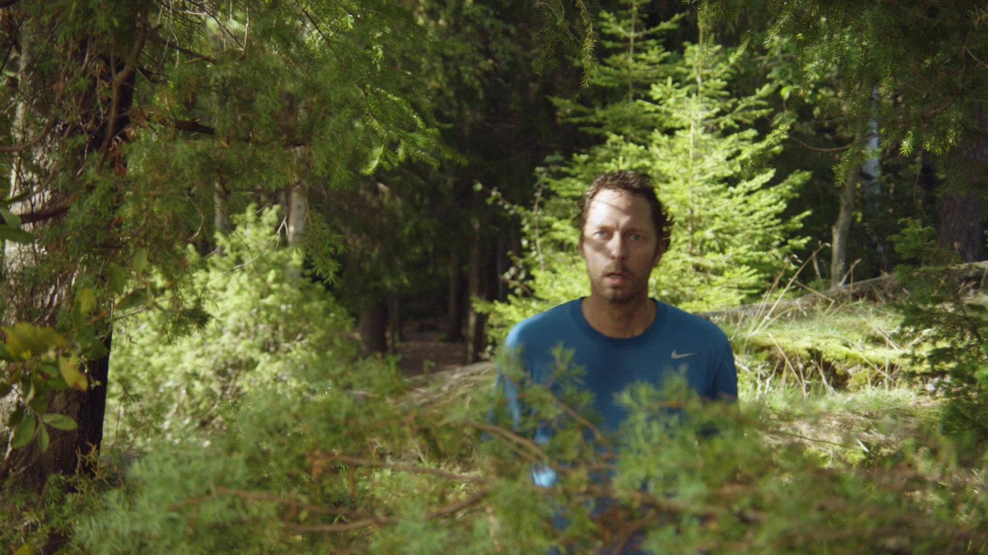 A still from Coverage & Prune Avalanche