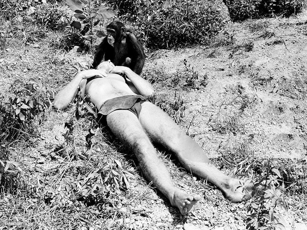 A still from The Prisoner