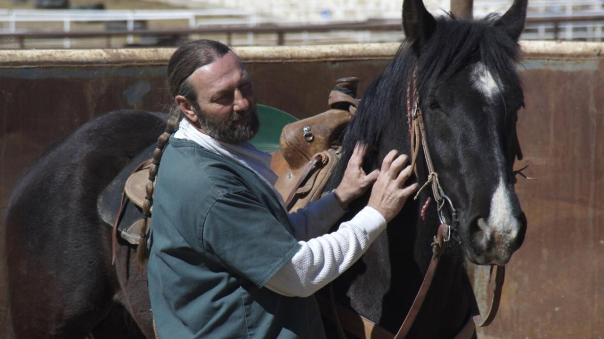 The Wild Horse Redemption