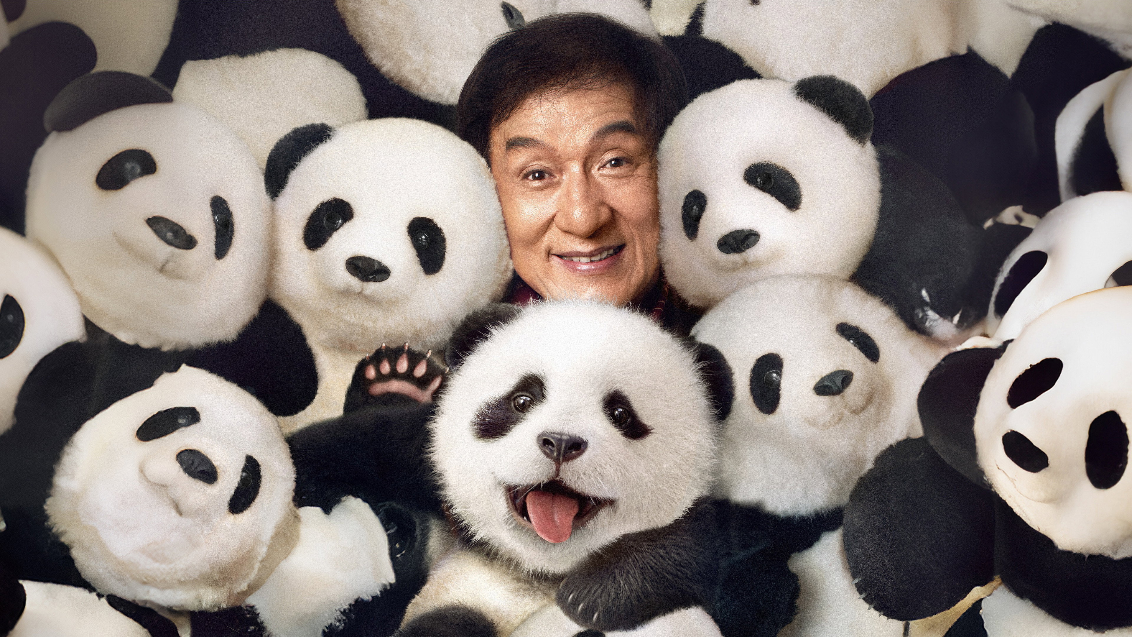 Panda Plan
