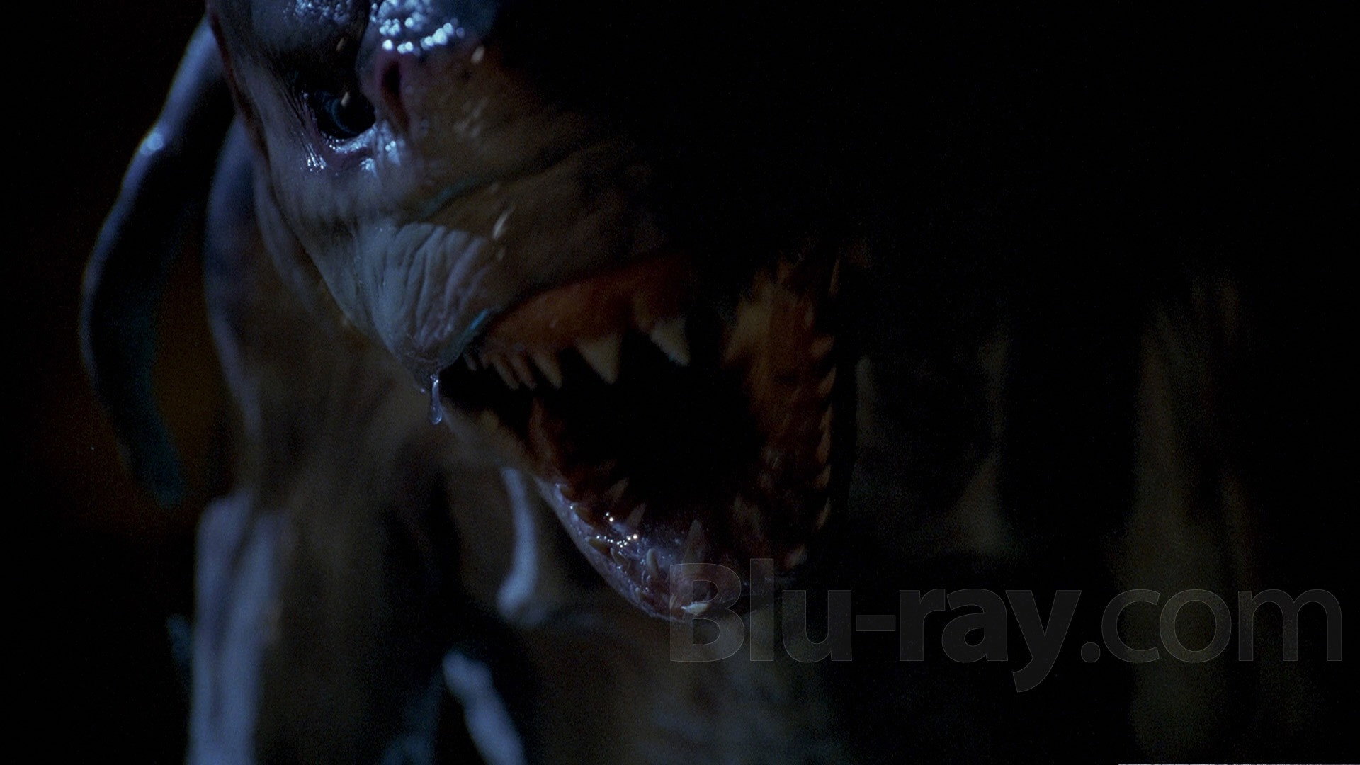 A still from Episode 2