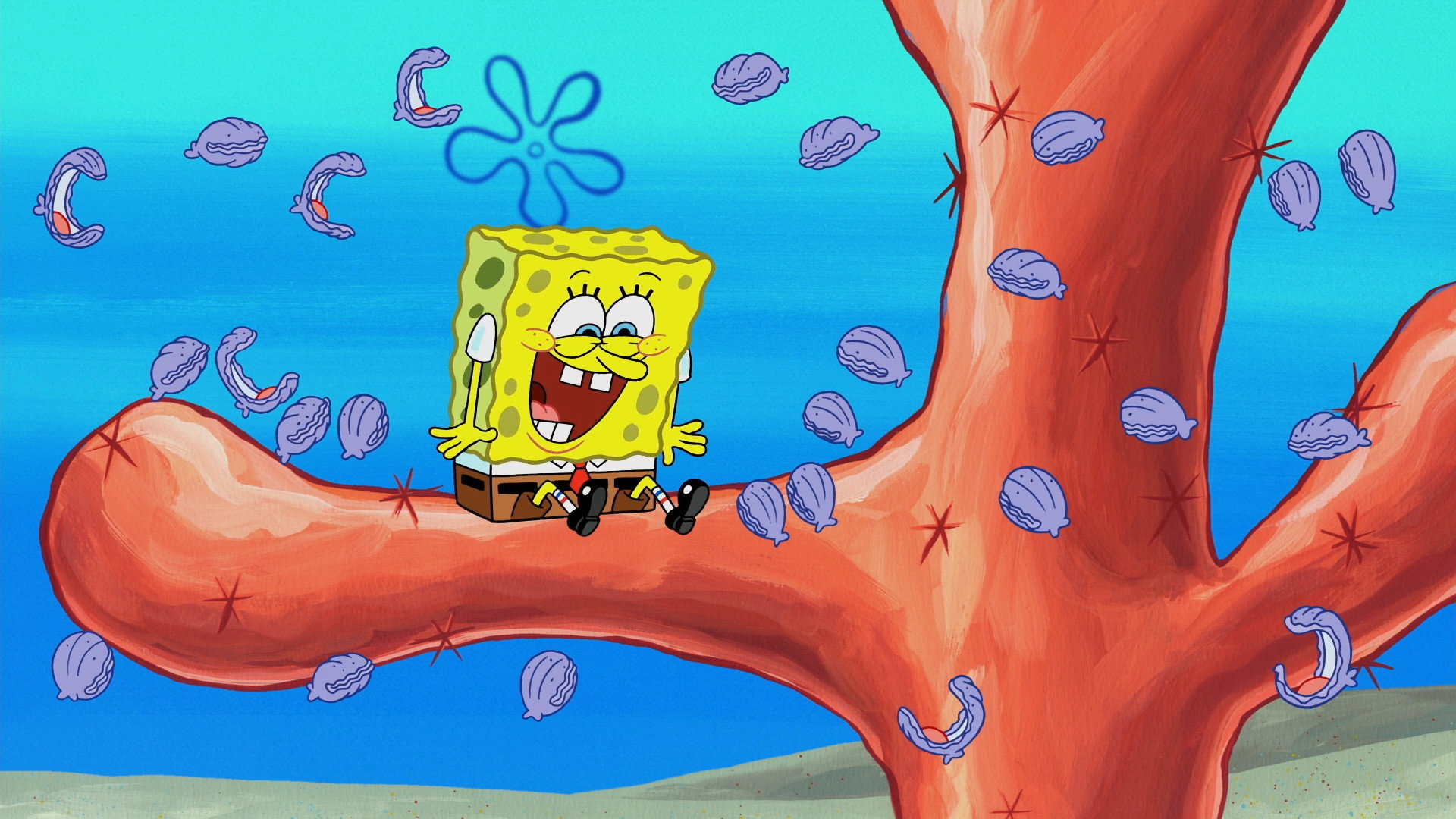 A still from The Clam Whisperer