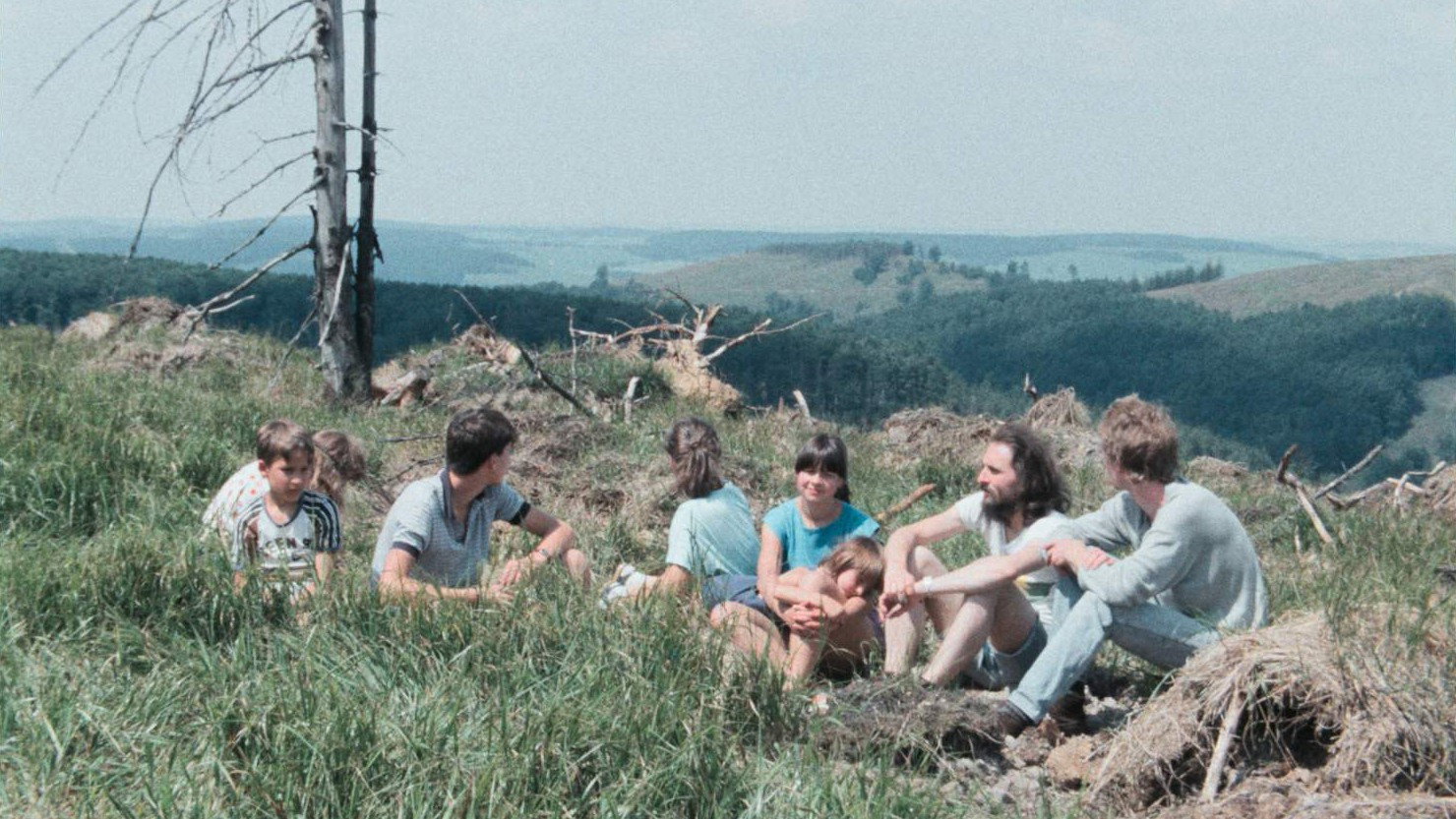 Farewell, Beautiful Forest… or How a Film Was Censored
