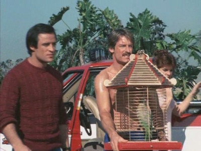 A still from Polly Want an Explanation