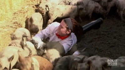 A still from 12 Chefs Compete Part 2