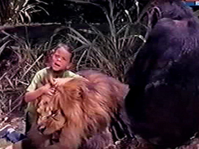 A still from Clarence the Lionhearted