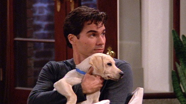 A still from The Truth About Will and Dogs