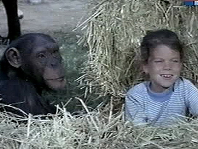 A still from A Family for Jenny