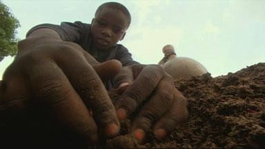 A still from Master of the Killer Ants
