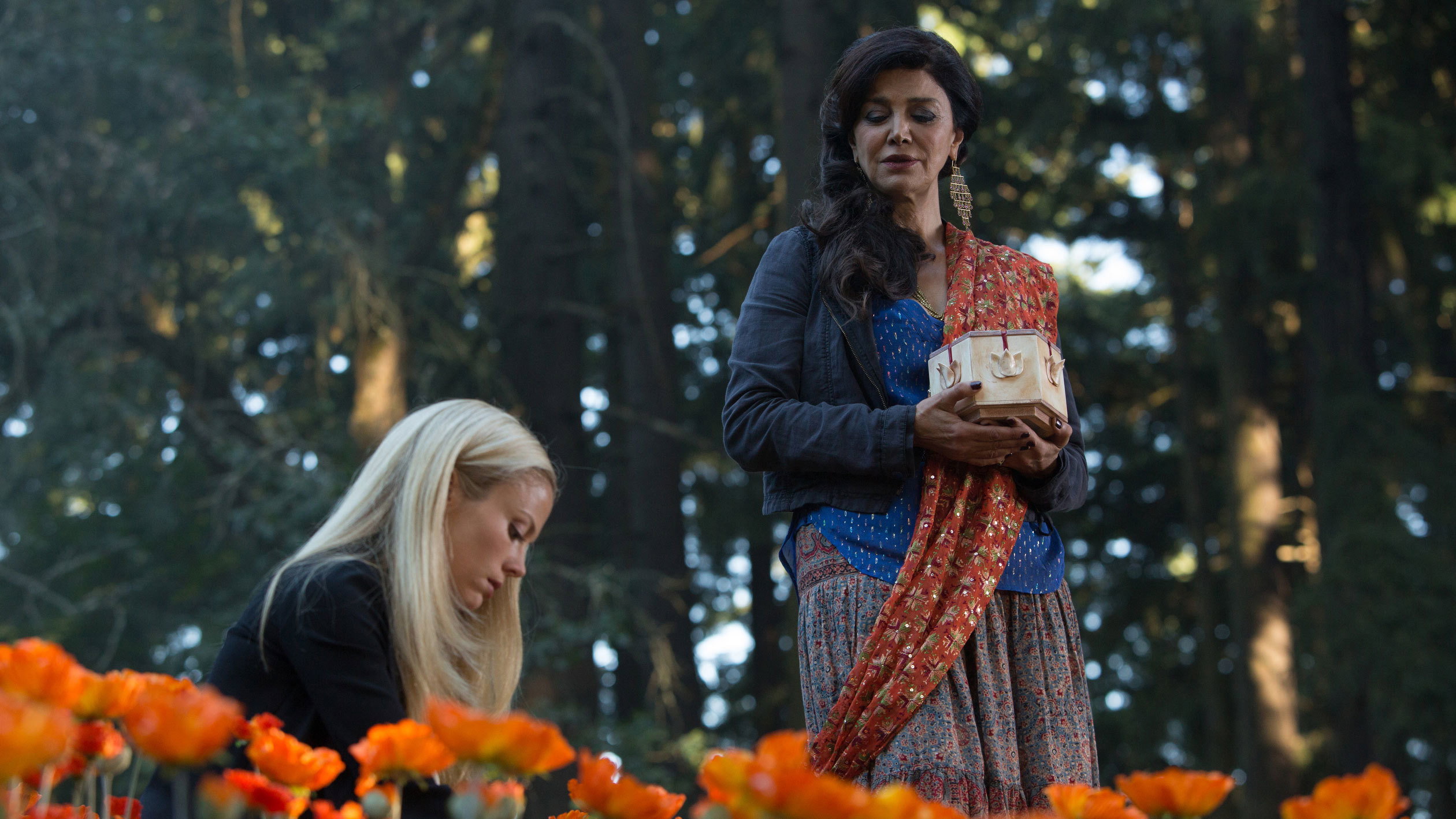 A still from The Ungrateful Dead (3)
