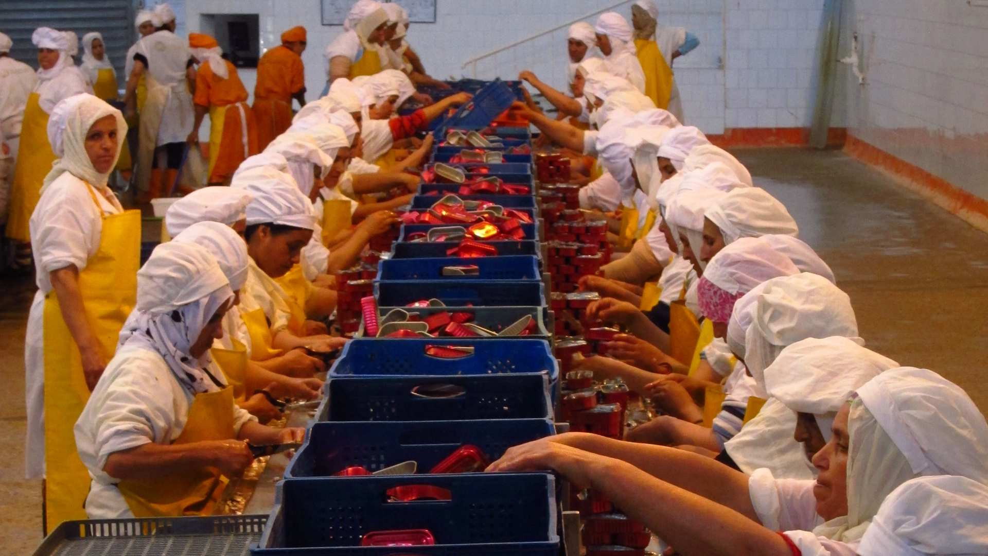 A still from Sardines, Piaggio Scooters, Erector Sets