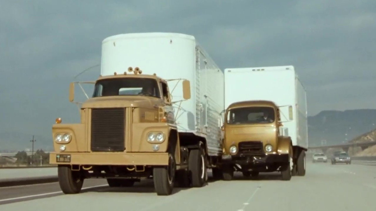 A still from Bio-Rhythms
