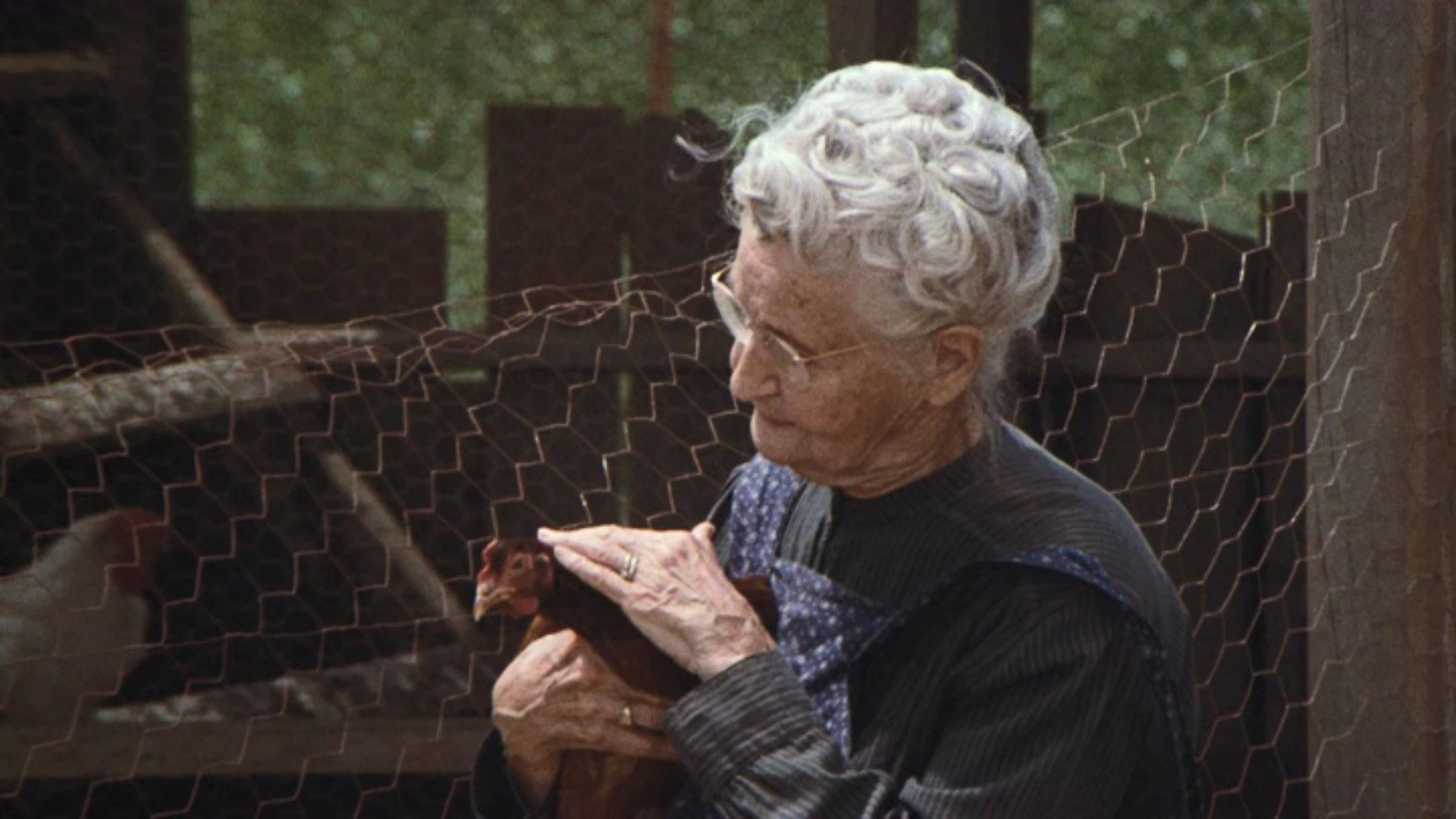 A still from The Chicken Thief