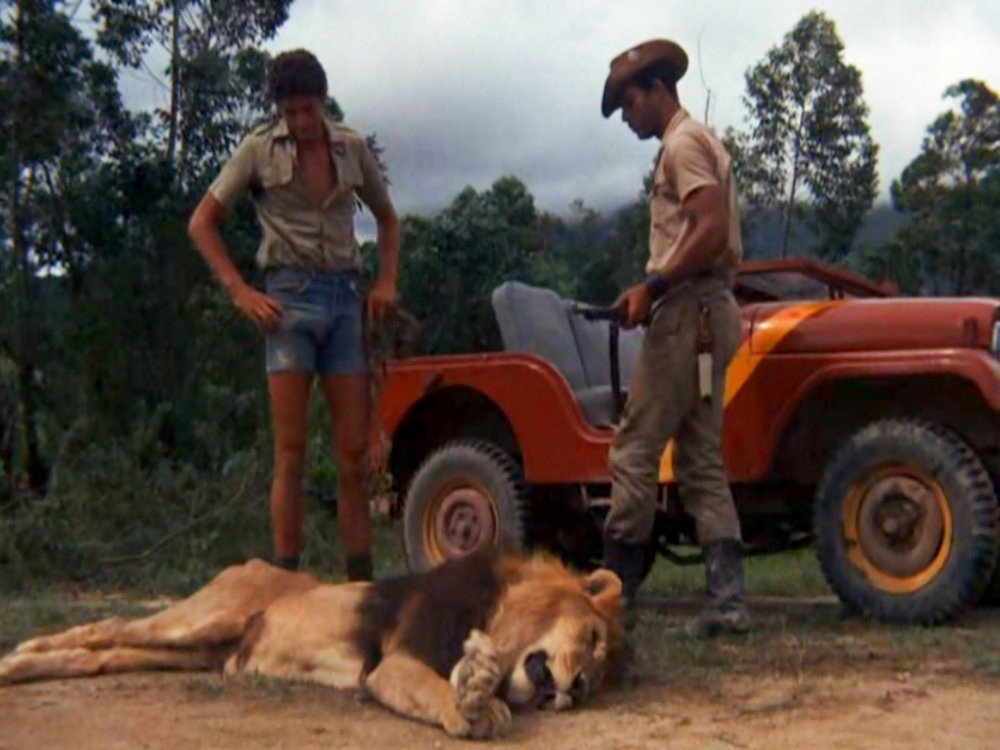 A still from Eyes of the Lion