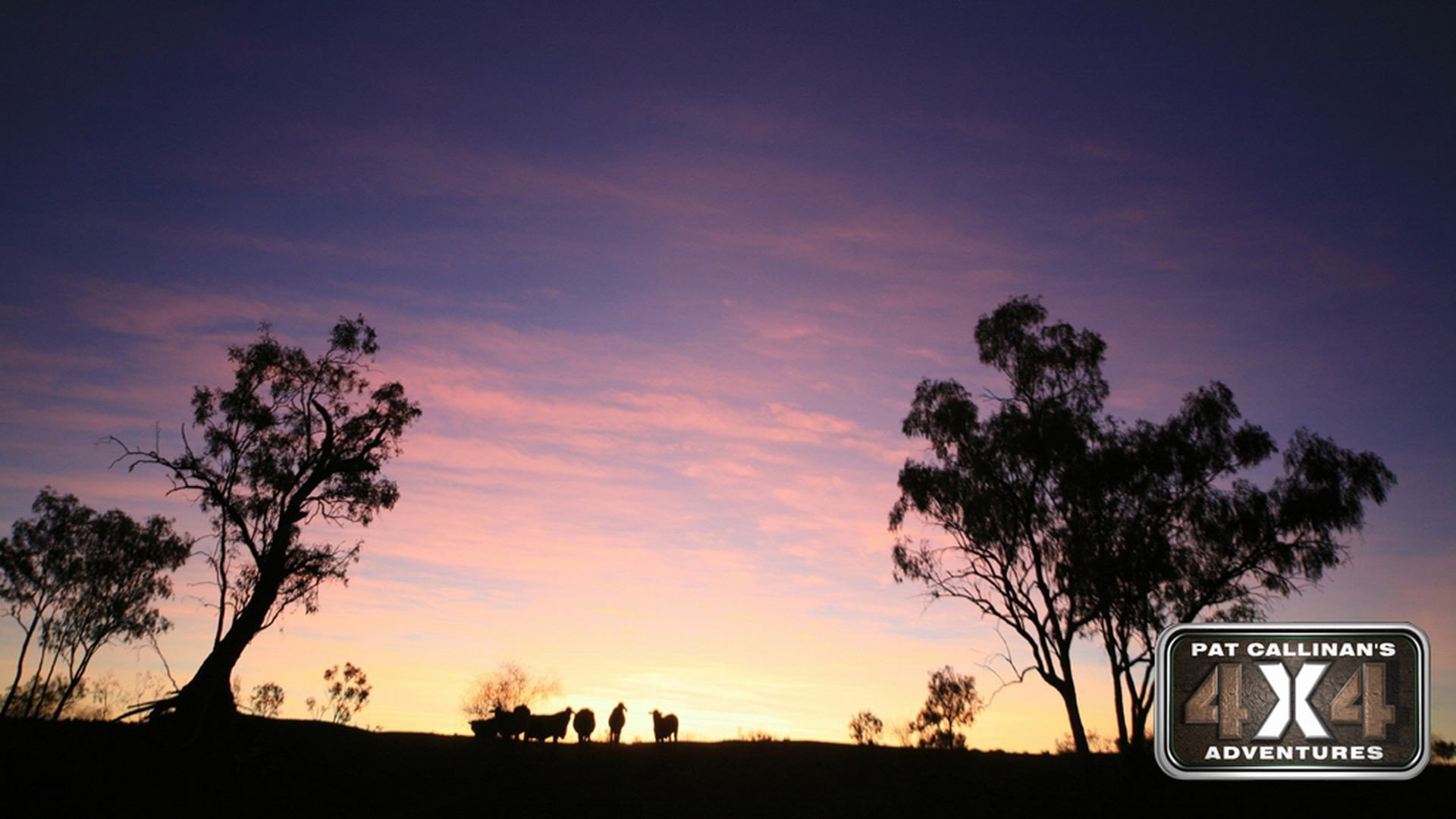 A still from Yesterday's Ashes