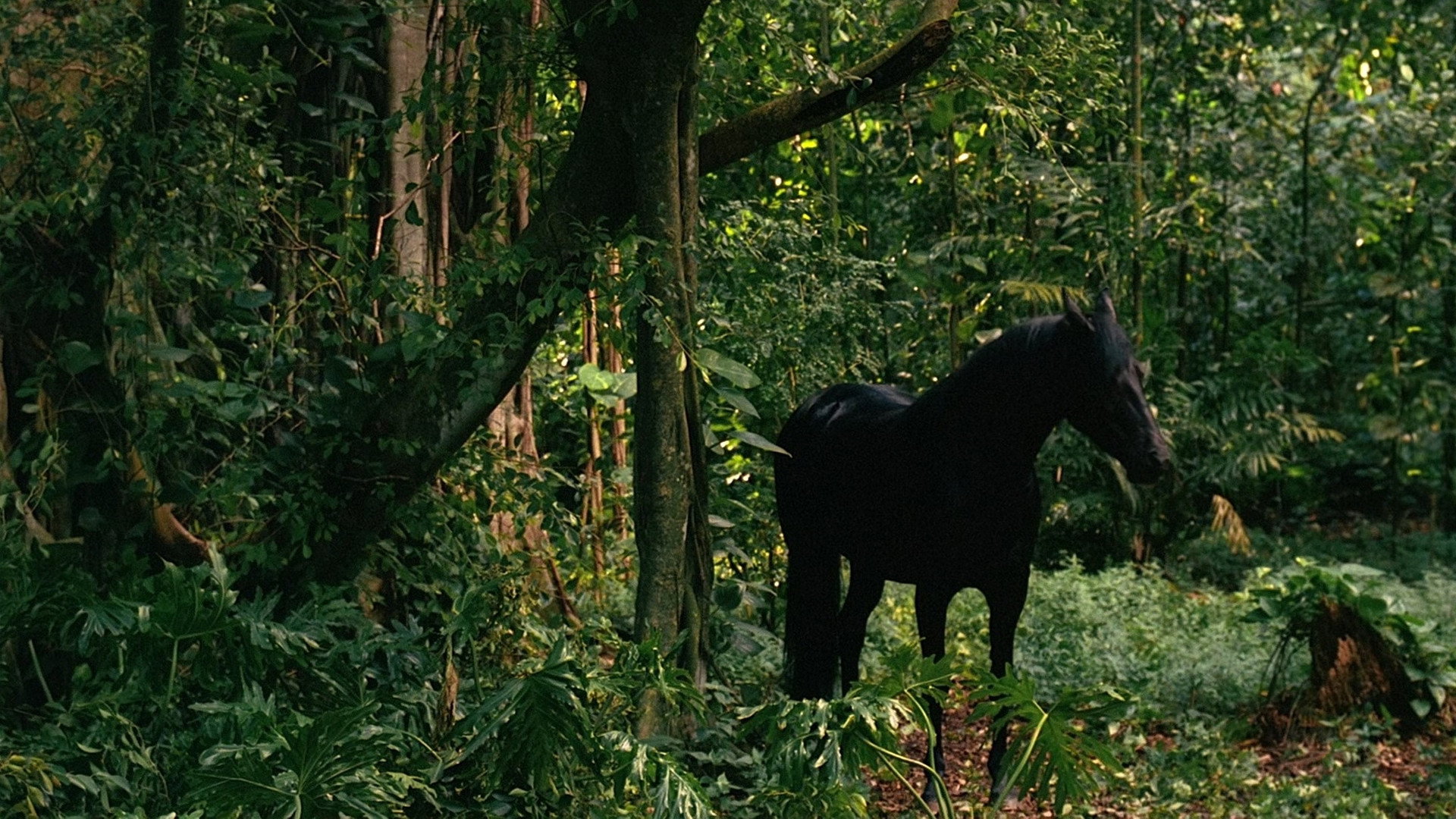 A still from What Kate Did