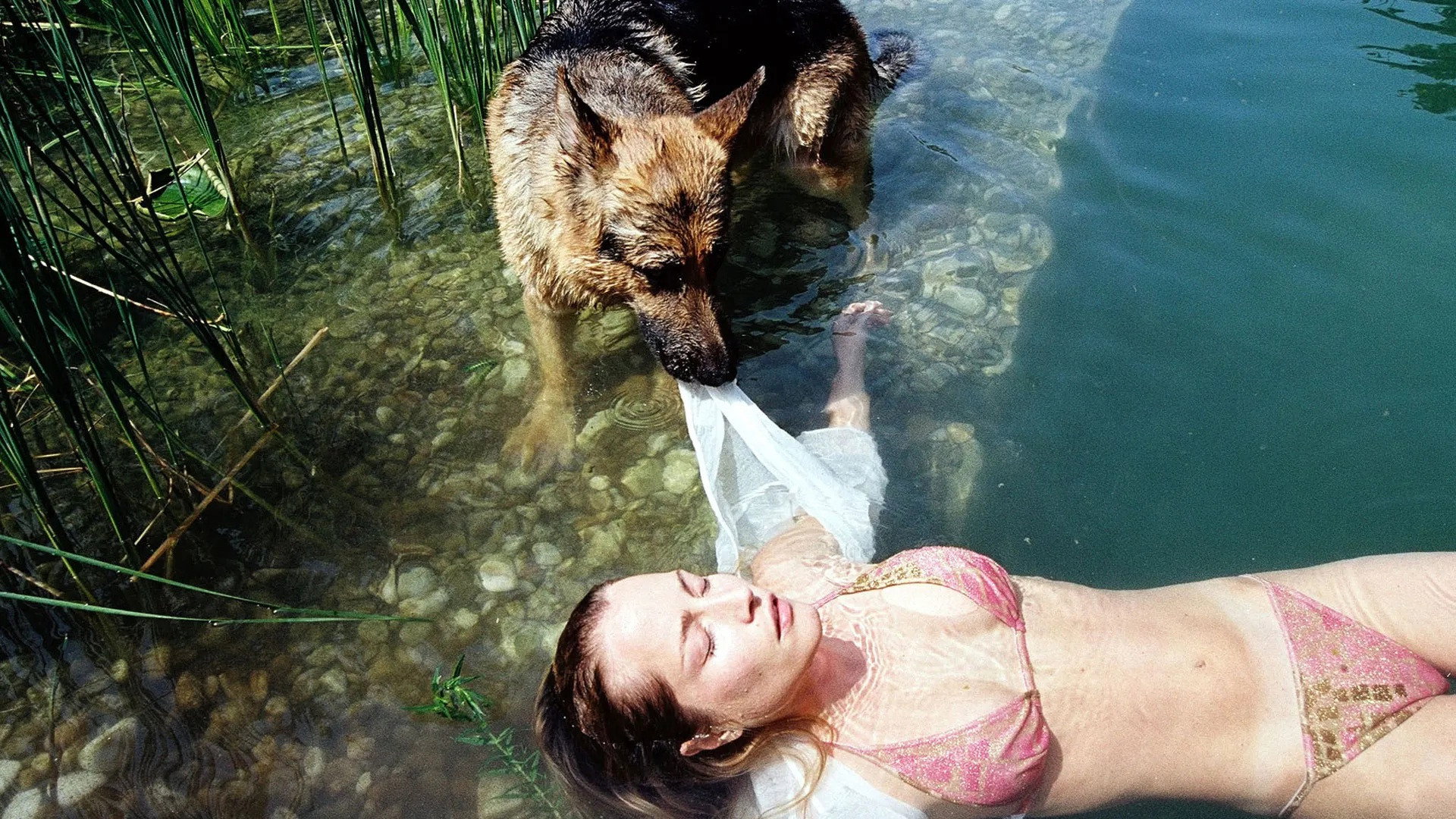 A still from Blonde, Beautiful, Dead