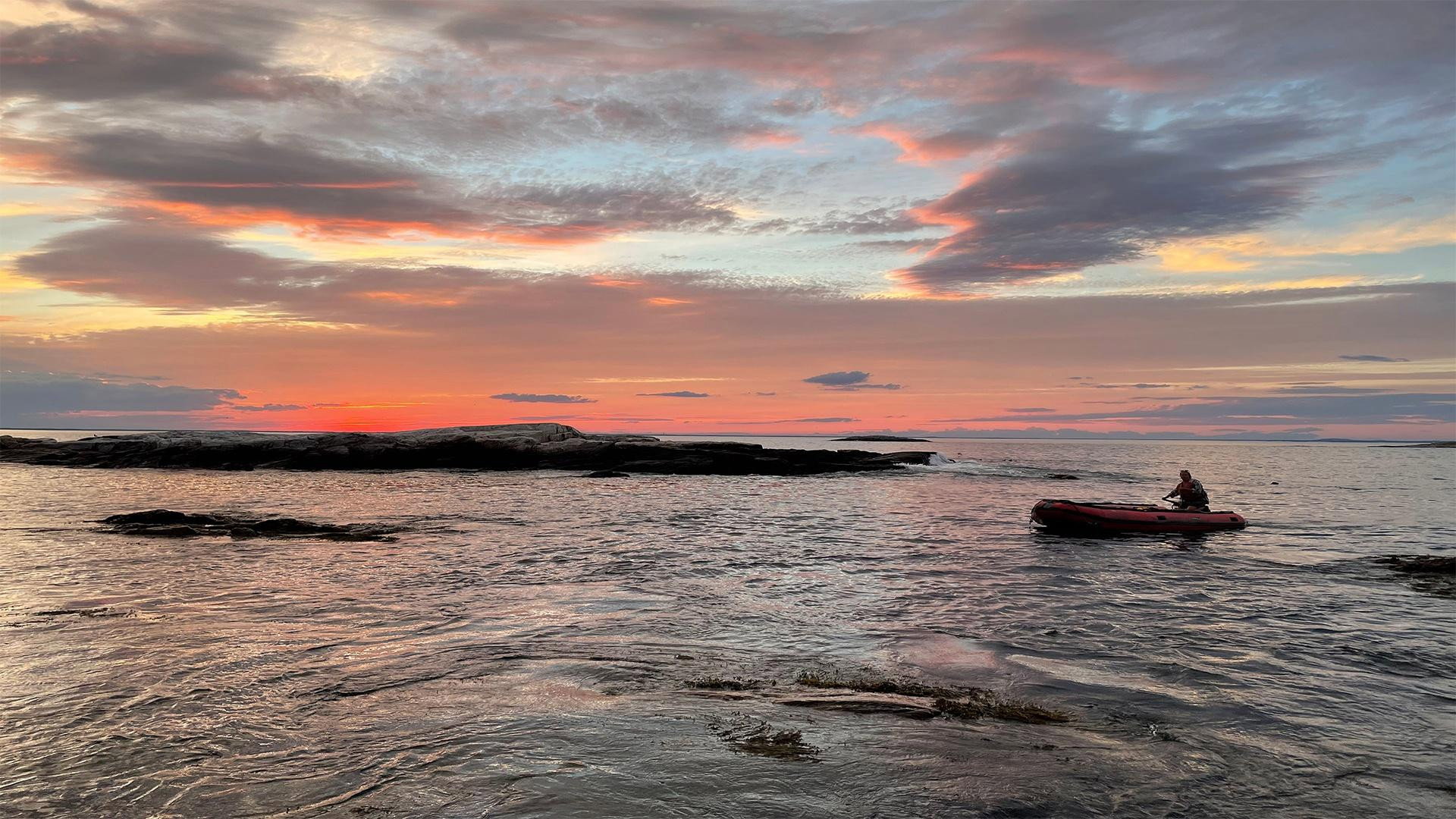 A still from Sea Change: Survival in the Gulf of Maine