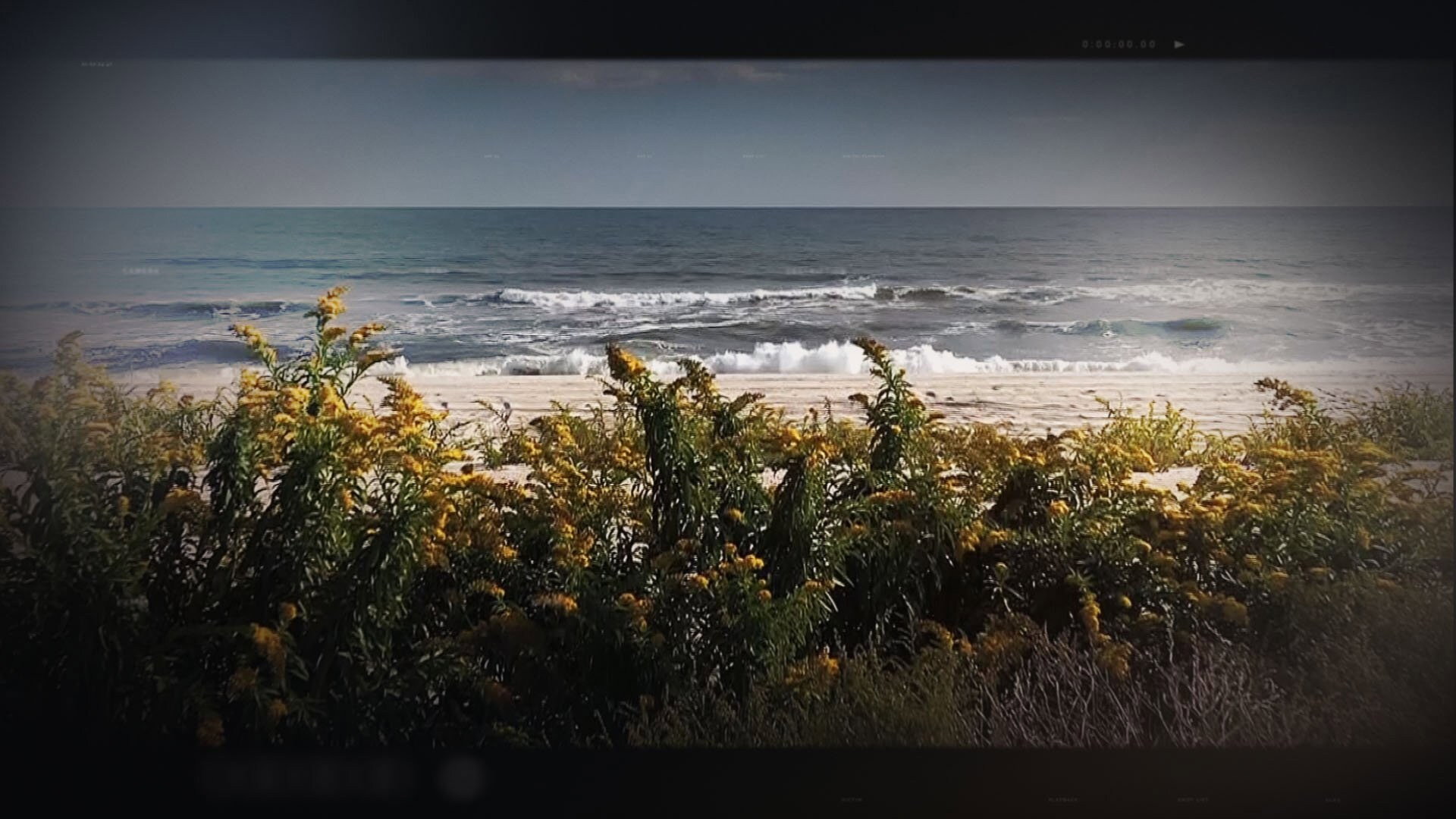 A still from The Hunt for the Gilgo Beach Killer