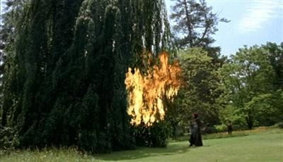 A still from Spiral