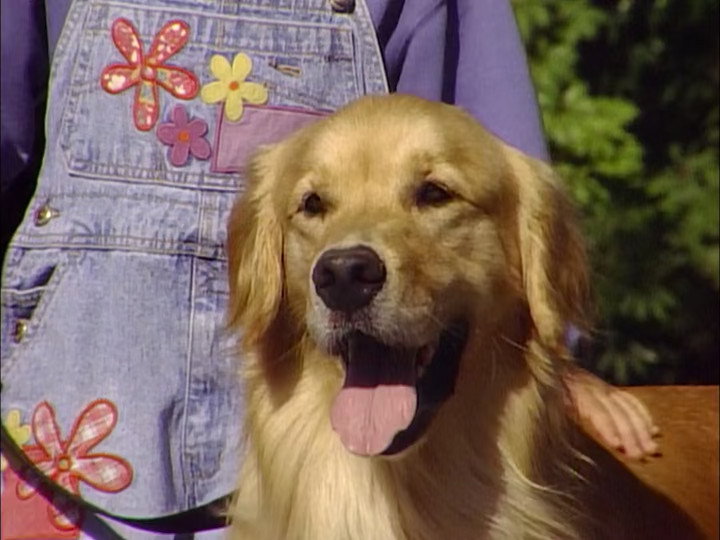 A still from Comet's Excellent Adventure