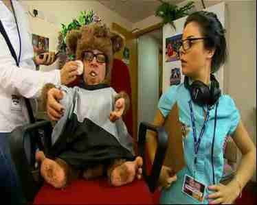 A still from Avid Learns How to... Be Cool