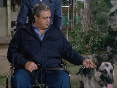 A still from The Savage Sentry