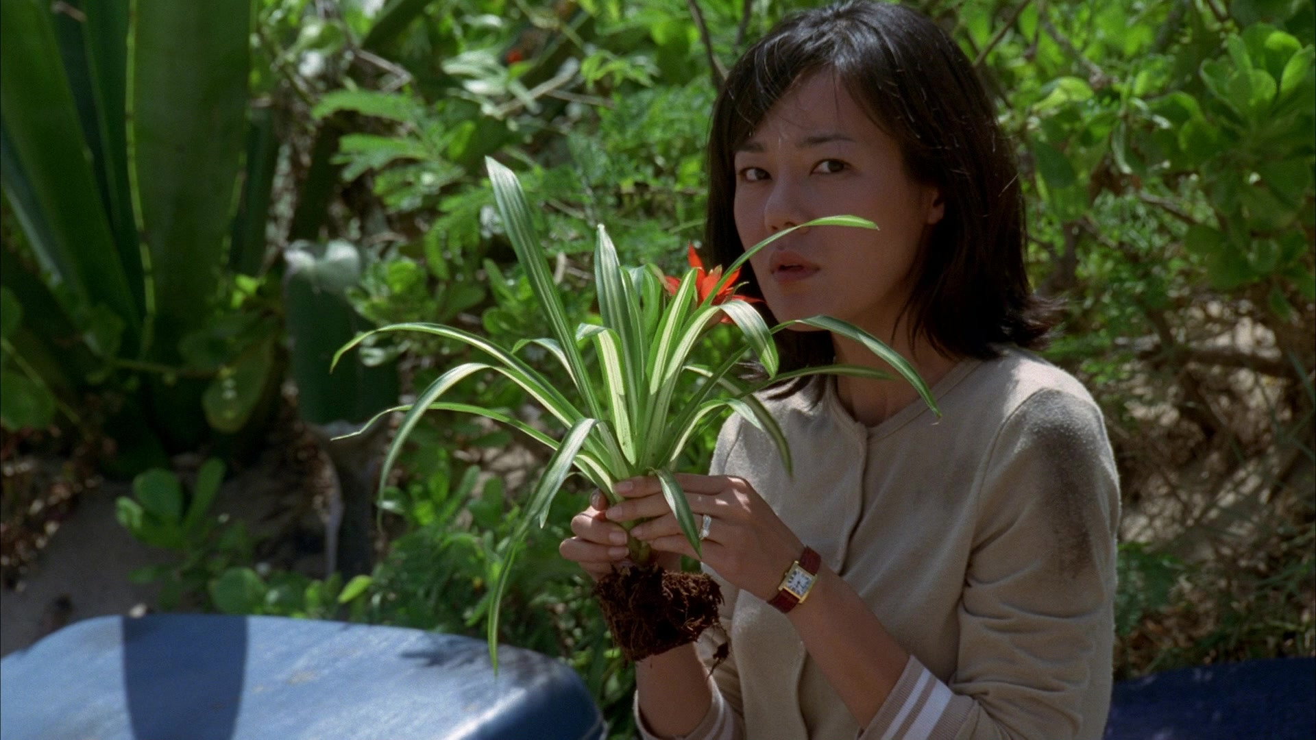 A still from House of the Rising Sun