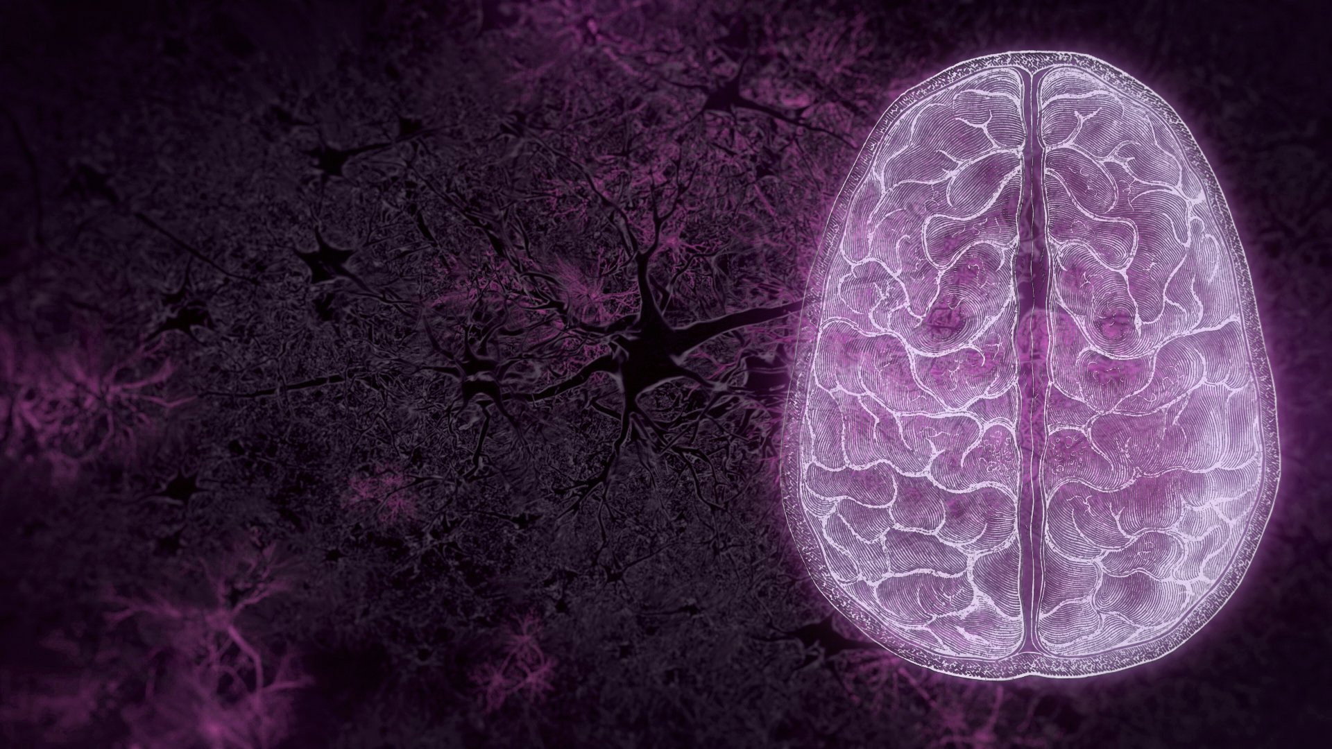 A still from Your Brain: Perception Deception (1)