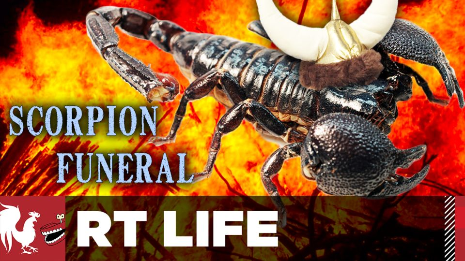 A still from Scorpion Funeral
