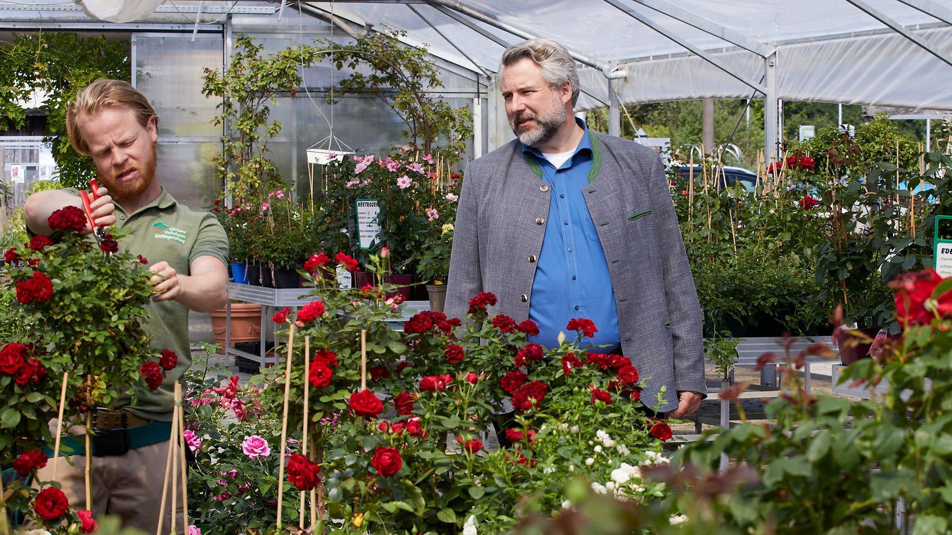 A still from Green is death